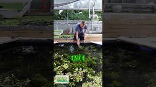 First Try! @Dustinsfishtanks
