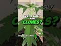 Ready to master the art of cloning? 🌱 Here's a quick guide
