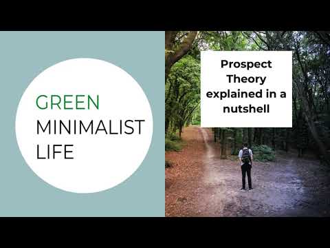 Prospect theory explained