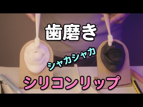 【ASMR】シリコンリップに歯磨きしてみた【声なし】