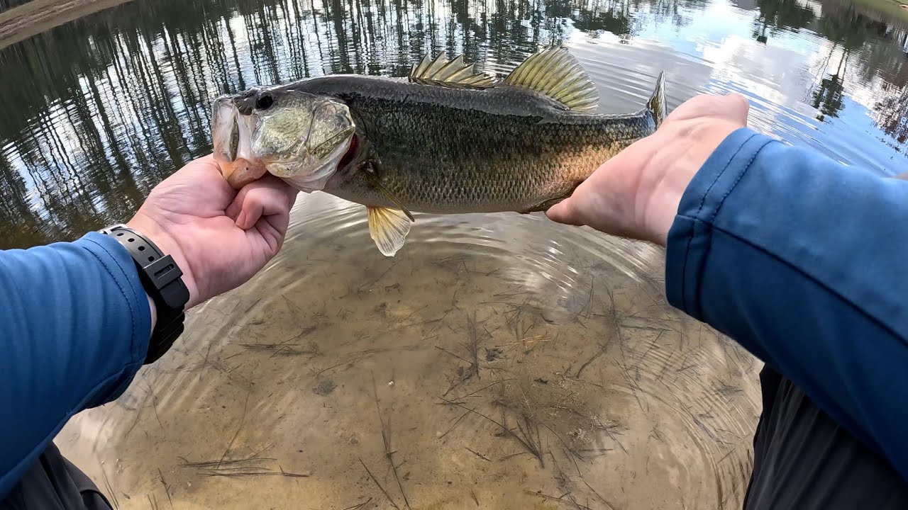BASS Fishing can be TOUGH but REWARDING