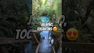 JALAPÃO, TOCANTINS 😍 // #review #dicas #viagem #dicasdeviagem #ondeiremsp #airbnb #travel #jalapão
