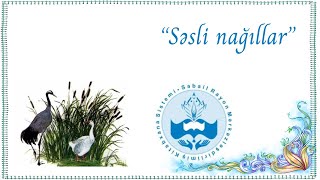 Seyid Əzim Şirvani Qaz Və Durna