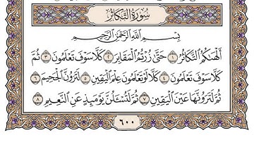 سورة التكاثر / محمد صديق المنشاوي