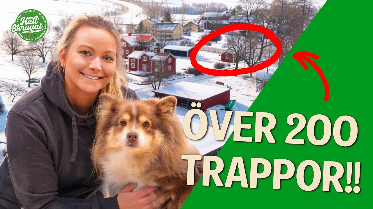 Lär dig bygga en platsbyggd trappa