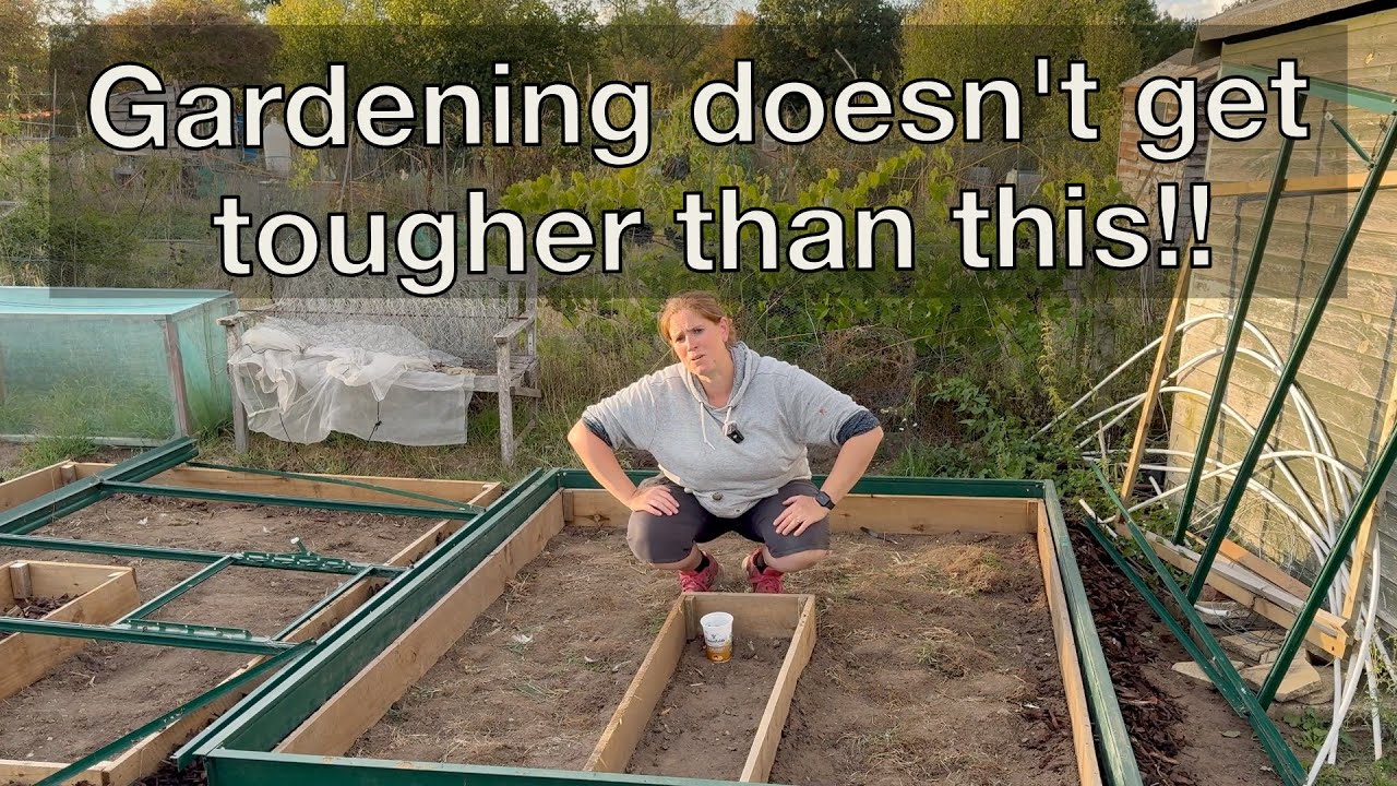 Обновление клетки для капусты | Рататуй | Картофель для основных культур | Компостные кучи