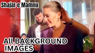 Shajar E Mamnu All Behind The Scenes L Season 6 Legend