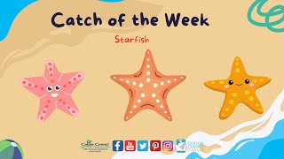 Catch of the Week: Episode 5 - Starfish - Collier County Public Library