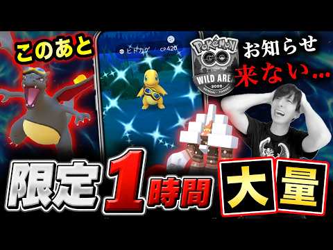 【限定1時間】激アツ大量発生を逃すな！ワイルドエリアチケット続報＆コラボ追加情報！コード・キャンペーンも【ポケモンGO】
