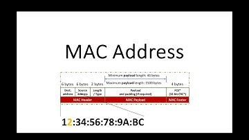 MAC Address Explained: Understanding the Basics | Tutorial for Beginners