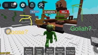 New BEANSTALK UPDATE in Grow a Garden