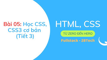 Bài 05: Học CSS, CSS3 cơ bản (Tiết 3) | 28Tech | Gấu Lập Trình