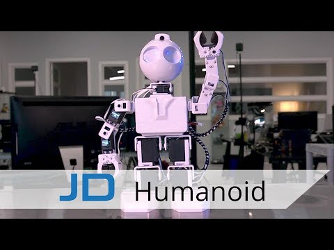 jd humanoid robot