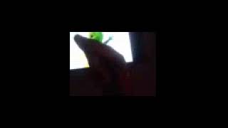[MY OWN FAKE LOST MEDIA] gummy bear valentine day [REUPLOAD]