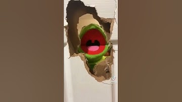 Elmo And Kermit Break The Door Open