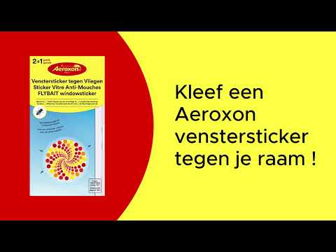 Decoratieve venstersticker met motief voor het vangen van vliegen.