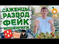 САЖЕНЦЫ - РАЗВОД, ФЕЙК, МОШЕННИКИ! | Распаковка и разоблачение с "Мегасад"