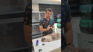 Onlar Anlatamaz Söyleyemez Dertleri̇ni̇ Ama Biz Anlatıp Söyleyip Bilgilendirelim Istedik Kısaca