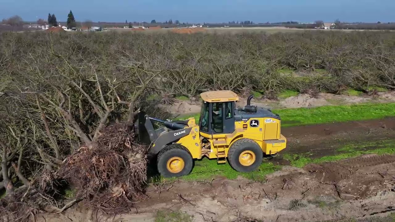 Grinding an Almond Orchard on a sunny January California day