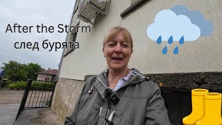 Rain's Blessings: Watch My Garden Blossom After the Storm #selfsufficiency #българия #градина