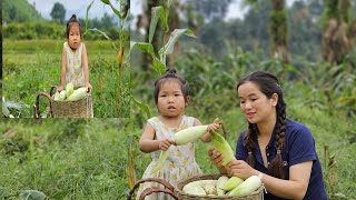 Pick corn to sell at the market and buy food to improve the mother and child's daily meals