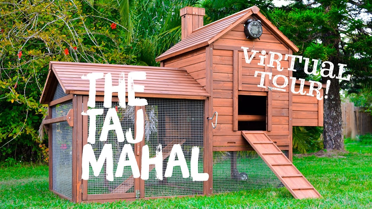 Taj Mahal Chicken Coop - Virtual Tour! - YouTube