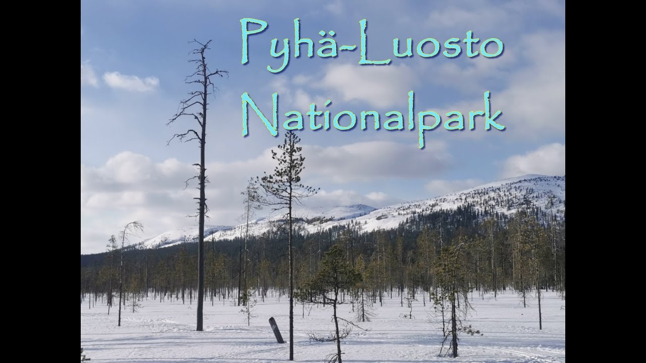 Pyhä-Luosto nationalpark