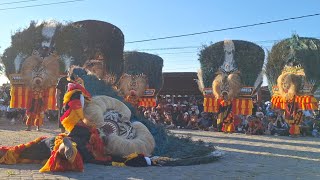 TARI REOG PALING SEREM PULUHAN DADAK MERAK TERBESAR NGAMUK GEGERKAN LAPANGAN KESUGIHAN 