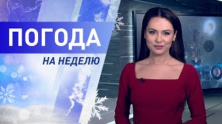 Погода на неделю 19-25 декабря 2022. Прогноз погоды. Беларусь | Метеогид