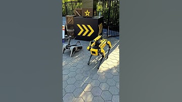 Robot Dog is like Dancing 😂 #bostondynamics #robot #ai #usa #dance #losangeles #dog #fyp
