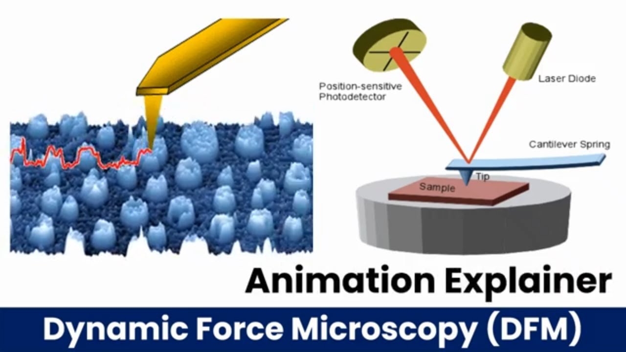Dynamic Force Microscopy Dynamic Force Microscopy Explained | Principles, Modes & Applications ...