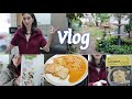 (Vlog) Se ha roto la barbacoa 😱 Compra carrefour y lidl