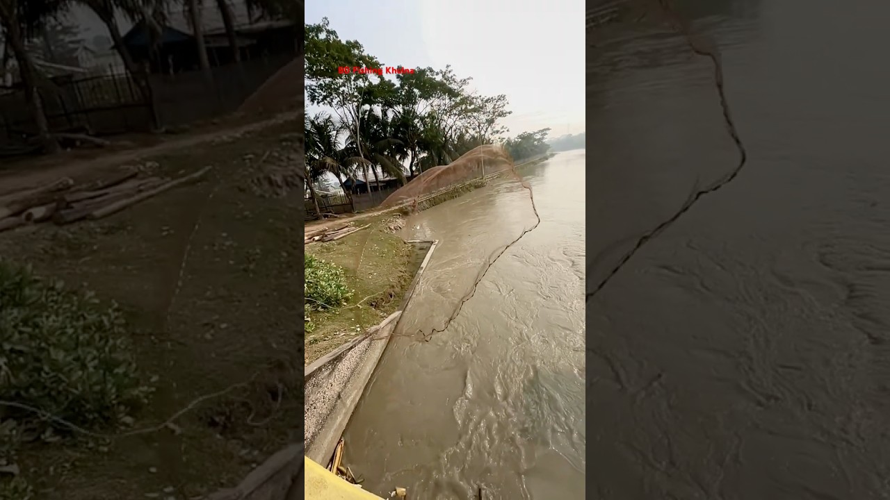 Best flying castnet fishing 