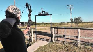 Archery Tips for BowHunting - Long Range Practice