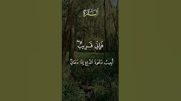 #المنشاوي #تلاوات #اكسبلور #المصحف #استغفر_الله #اللهم_صل_وسلم_على_نبينا_محمد