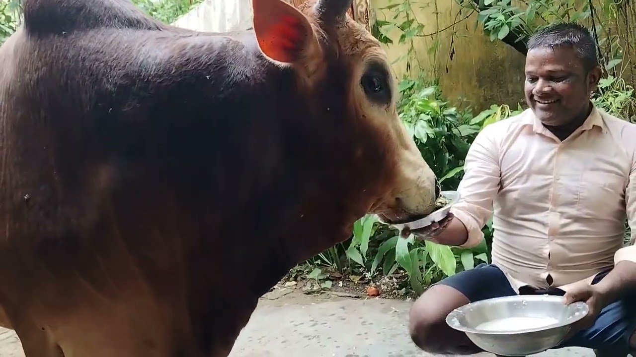 Har Har Mahadev🌺🌺🙏🙏🙏