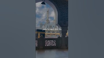 #القرآن_الكريم #سورة_البقرة #آية_الكرسي #اسلام_صبحي #subscribe #trending #quran #نوم_عميق #فلسطين