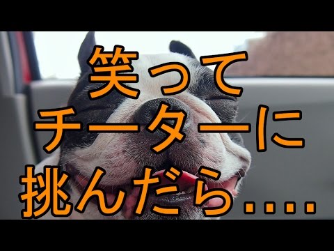 [▓▓]ε¦).o0【COD:BO2】 #2 DOM 笑ってチーターに挑んだら....