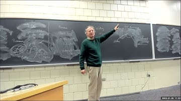 Combinatorial Approximations to the Continuum for Fluid Computation - Ruth Lawrence-Naimark