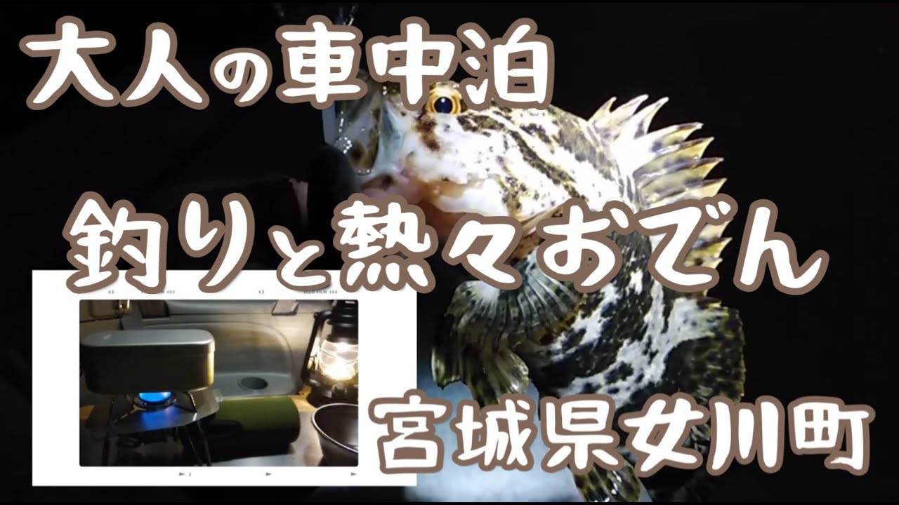 【冬の釣り車中泊】夜の漁港でベッコウゾイと熱々おでん
