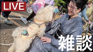 ㊗️キャラバン10日間完走！㊗️事務所開き！都議選中は街頭活動出来ません。平野雨龍、猛スピードで進んでおります！