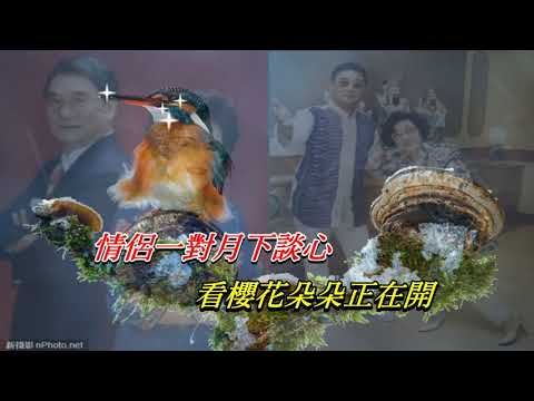鳥語花香   譚炳文 ‧ 李香琴〈演唱版〉