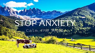 Beautiful Relaxing Music Stress Relief, Stop AnxietyHealing Music, Deep Sleep, Soul and Body,Nature