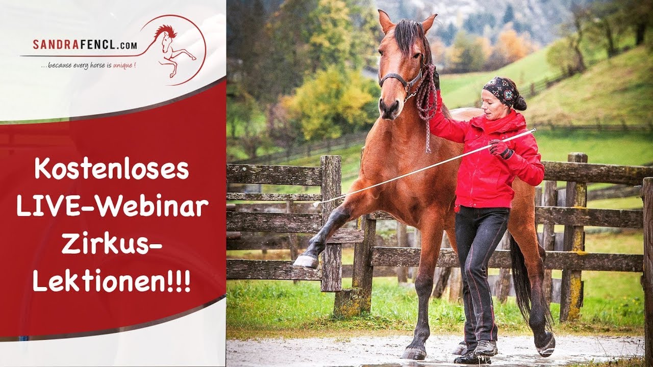 Einladung zum NEUEN, kostenloses Zirzensikwebinar mit Sandra Fencl am Mittwoch 25. Juli 2018