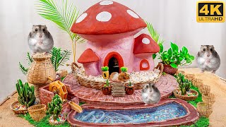 Build Hamster House And Aquarium Fish Pond DIY
