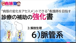 「診療の補助の強化書」料金改定のお知らせ ｜ 出直し看護塾