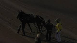 Vidéo de la course PMU PRIX STOLOPP