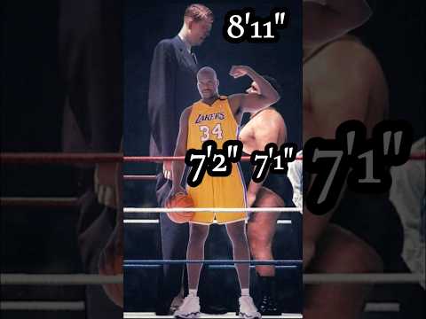 SHAQUILLE O'NEIL ANDRE