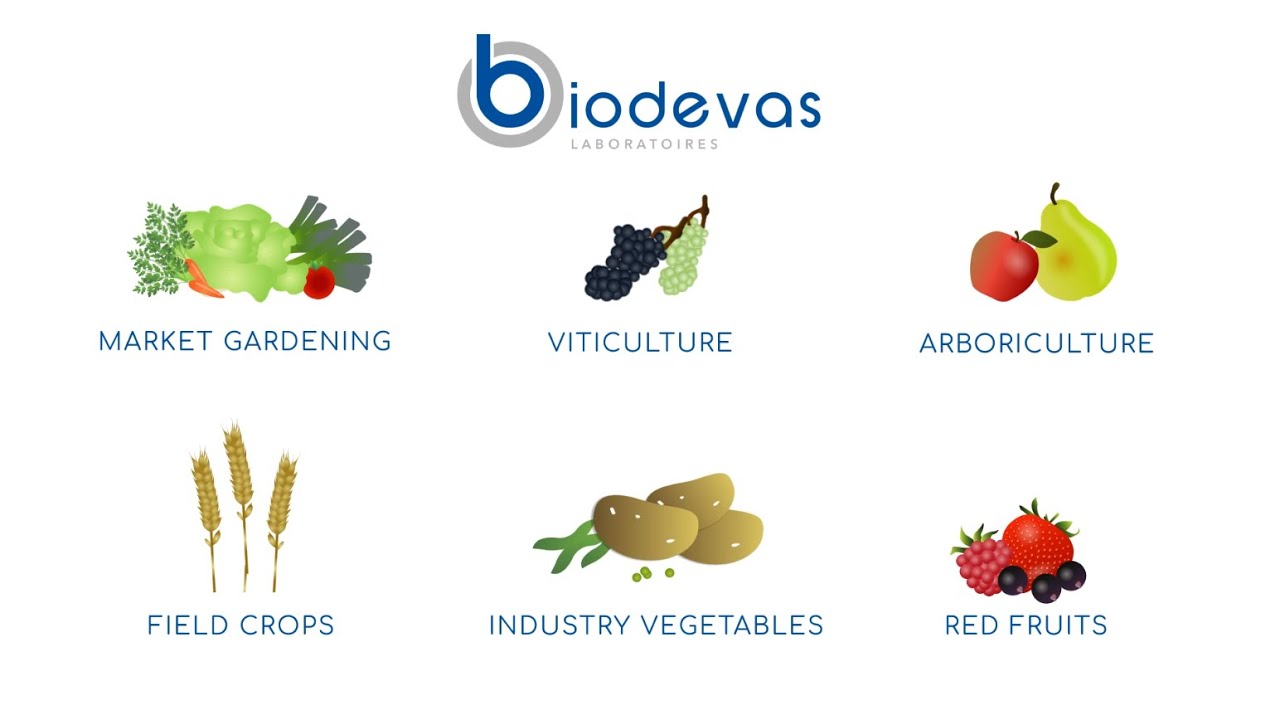 Presentation of plant division Biodevas Laboratoires