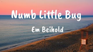 Em Beihold - Numb Little Bug Lyrics (DLyrics01)